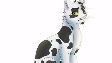 Swiftpaw and Brightpaw Video for fih jy (Request)