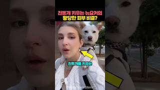 진돗개 키우는 뉴요커가 한국 사골라떼 마셔본 반응