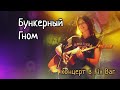 Бункерный гном, концерт в Fix Bar
