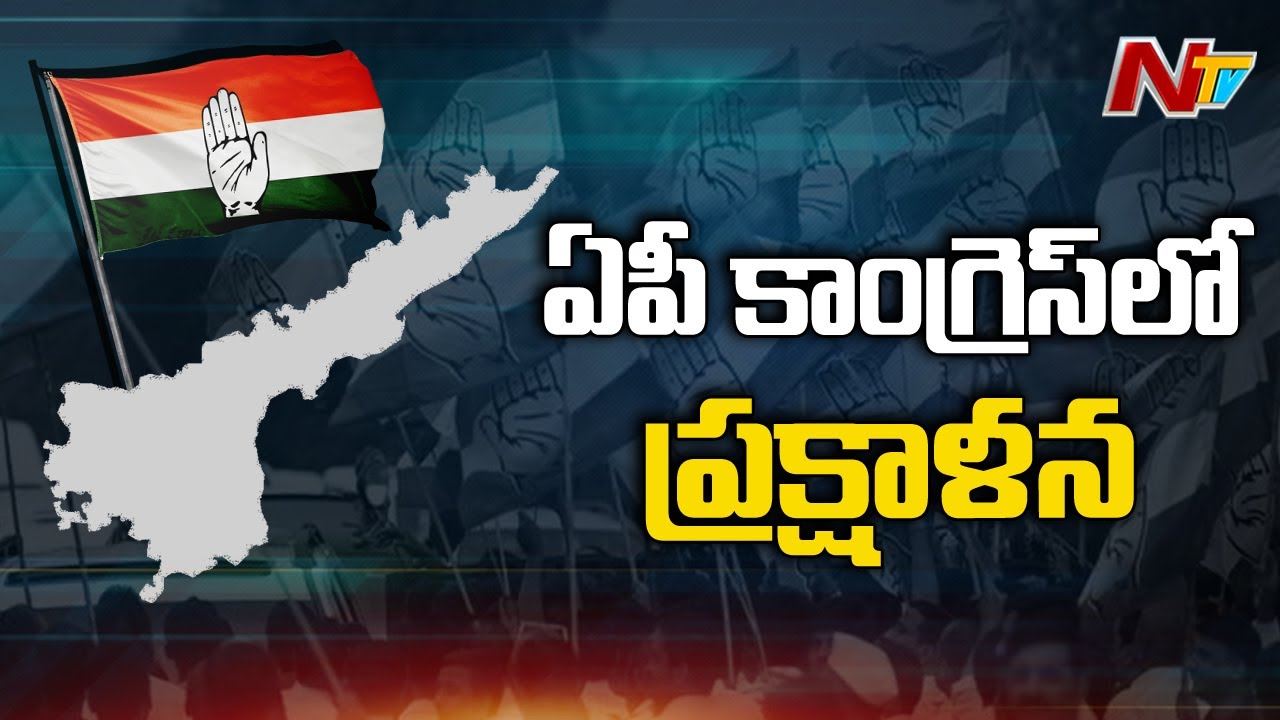 Rahul Gandhi to Discuss with Senior Leaders over Congress Party Situation in AP | NTV