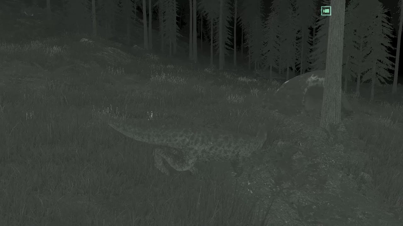 Allos Gamma Hacking (Playerview)