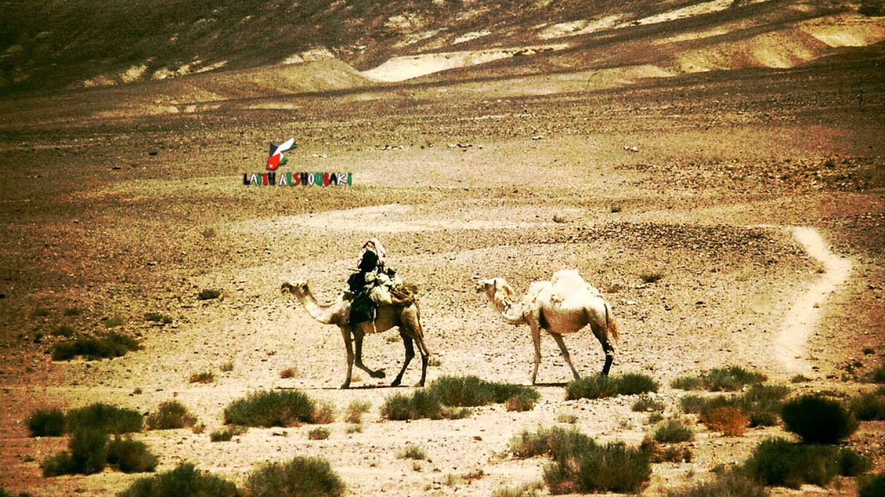 يا طروش --- عبد الله العوادين