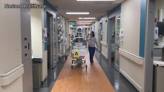 Babies move to renovated NICU facility in Norton Children's Hospital