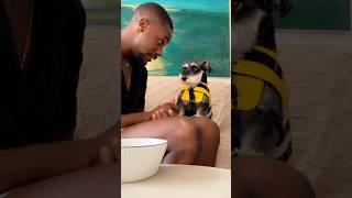 dad talks through all life s problems his dog as he should