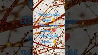 Top - Topan Happy Asmara #shorts