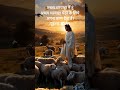 अच्छा चरवाहा मैं हूँ #goodshepherd #iamgoodshepherd