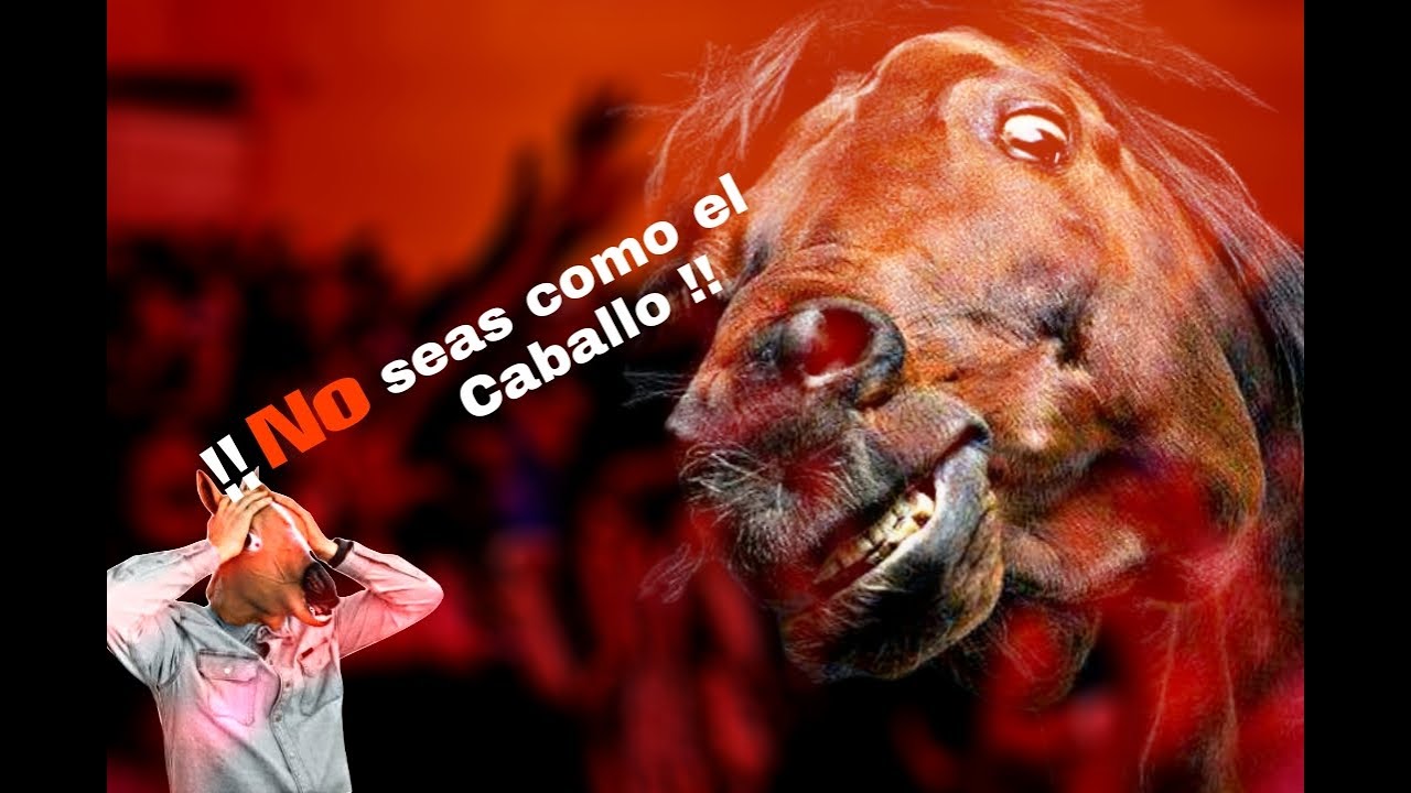 No Seas Como El Caballo Pastor Maiker Carpiadosa YouTube