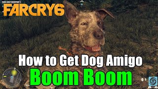 Far Cry 6 How to Get Dog Amigo Boom Boom