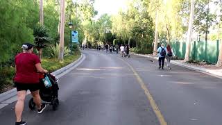 Tram Route Walk - Disneyland Resort