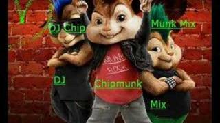 Chipmunks - Cameltoe