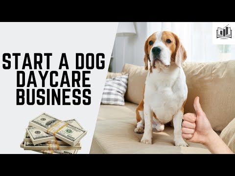 How to Start a Dog Daycare Business | A Simple Method for Starting and Opening a Dog Daycare at Home