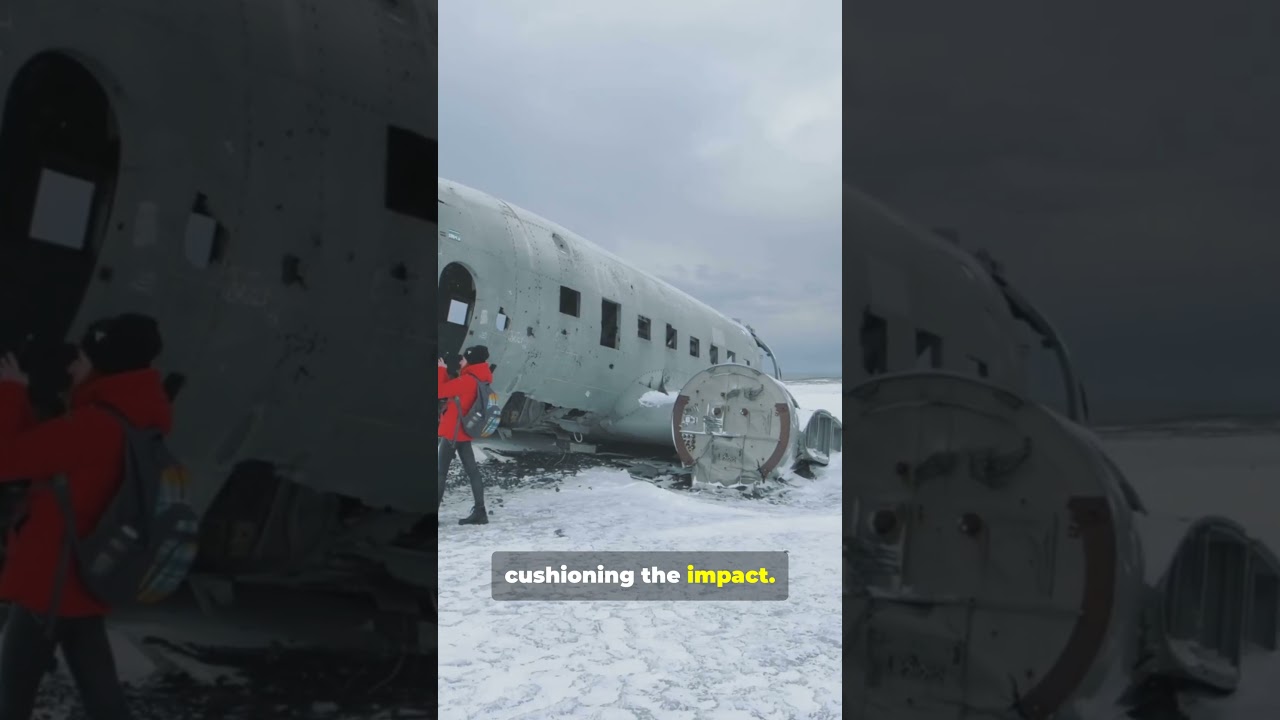 She Fell from the Sky… and Survived!  