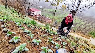 Dumanlı Dağlar Ve Soğuk Çise 🌫️ Karadeniz Köyünde Bir Gün