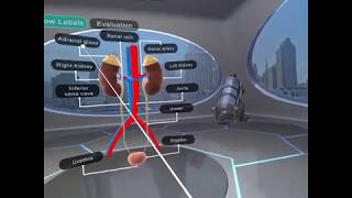 Standard  7 chapter  11 Transportation in animals and plants in Virtual Reality screenshot 5