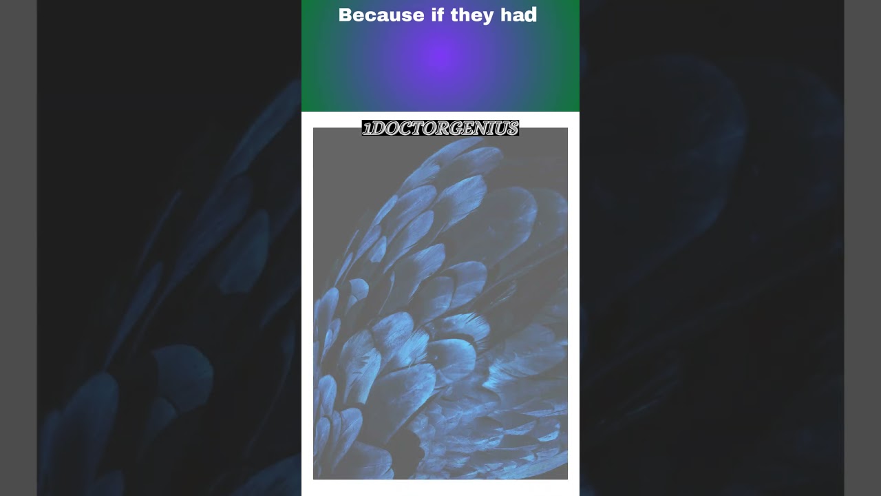 BEAUTIFUL FEATHERS : Why birds have feathers?   1DoctorGenius @C@R SMARTRIVIA