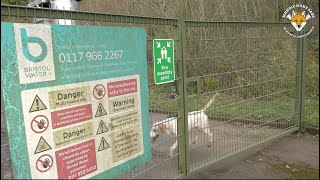 Mendip Farmers Hunt trespass on Bristol Water Land AGAIN 24-12-2024