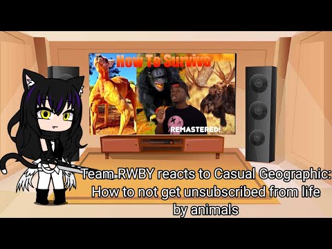 Team RWBY reacts to Casual Geographic: How to not get unsubscribed from life by animals