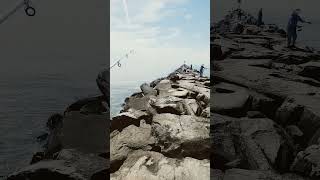 Cape May - Higbee Beach jetty #capemay#newjersey #fishing #jettyadventure#shorts