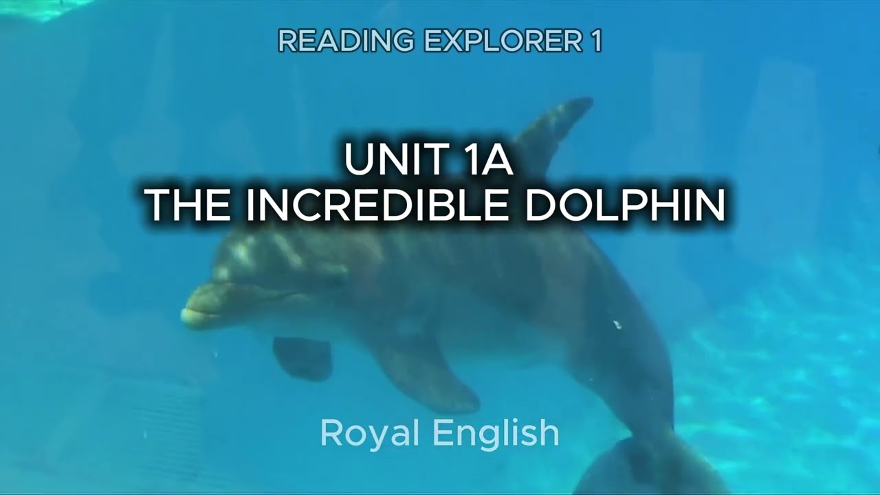 READING EXPLORER 1 UNIT 1A THE INCREDIBLE DOLPHIN