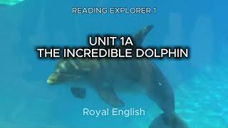 READING EXPLORER 1 UNIT 1A  THE INCREDIBLE DOLPHIN