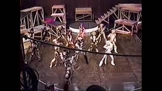 Macavity Fight  Japan 1998