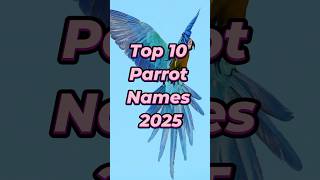 Top 10 Parrot Names 2025 Best Bird Names Your Feathered Friend
