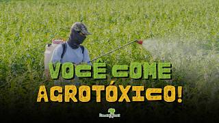 O PERIGO INVISÍVEL na sua mesa: A VERDADE sobre os AGROTÓXICOS!
