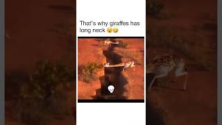 Scrat The Acorn-Obsessed Mascot Of Blue Sky Studios