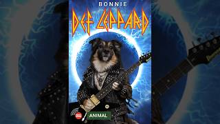 DEF LEPPARD - ANIMAL