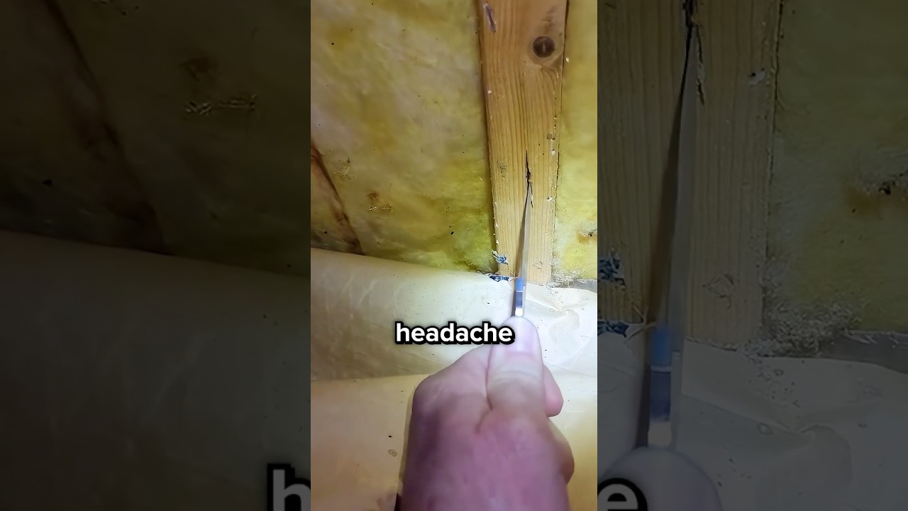 Stabbing This Wood Can Save You Thousands