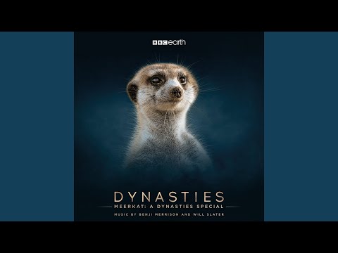 Benji Merrison & Will Slater - Next morning suite - Tekstowo.pl