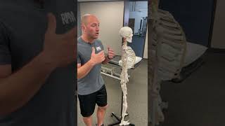 Whiplash Neck Pain Explained
