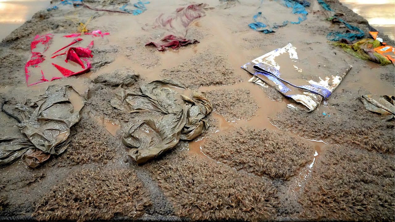 Unbelievable! Shaggy Rug Found in Sewer Overflow Turns Completely Clean | Carpet Cleaning ASMR