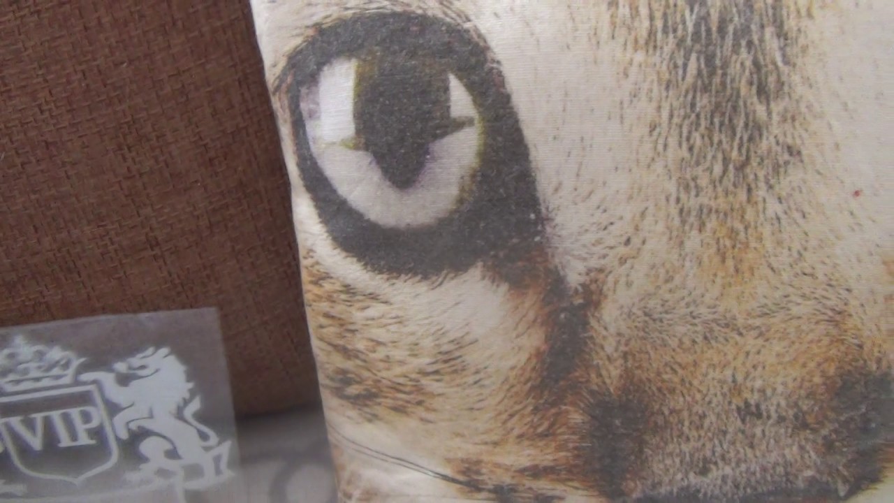 Leo VIP Sticker - Лев