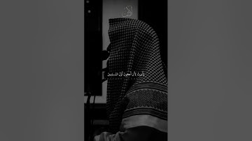سورة الزمر | محمد اللحيدان #محمد_اللحيدان