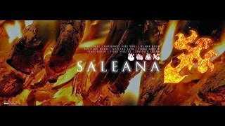 Celebrity DN INA, Build Skill PVE Pyromancer (Saleana) Cap 93 l Awakening Show l Instant Skill Profile