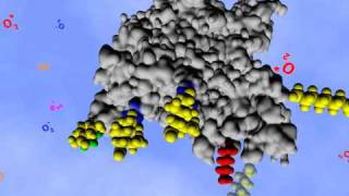 Arecor: Amino acid ionisation part 2 (protection)