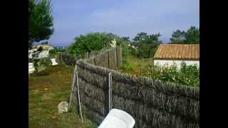 Der Angriff der Killer Libelle.AVI