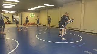 Stray Dogs Club Monroes Mma