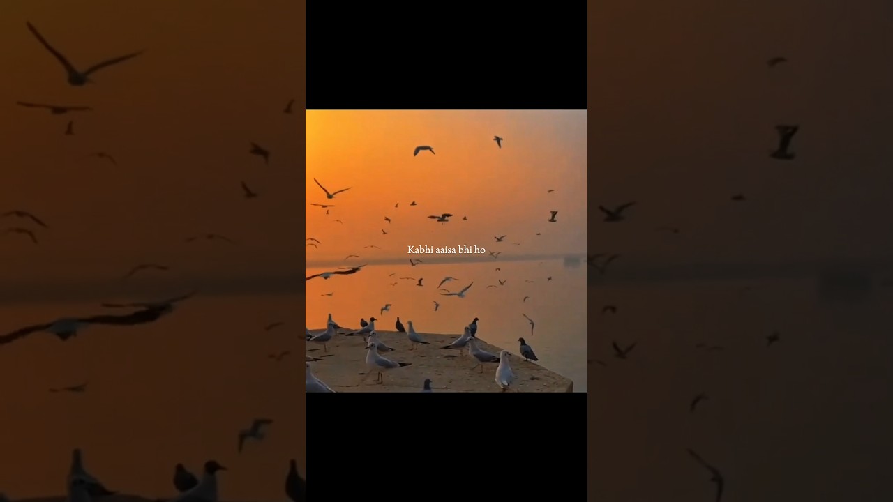 Oh Sahib - song lyrics || Kabhi Aisa bhi Ho rubaru 