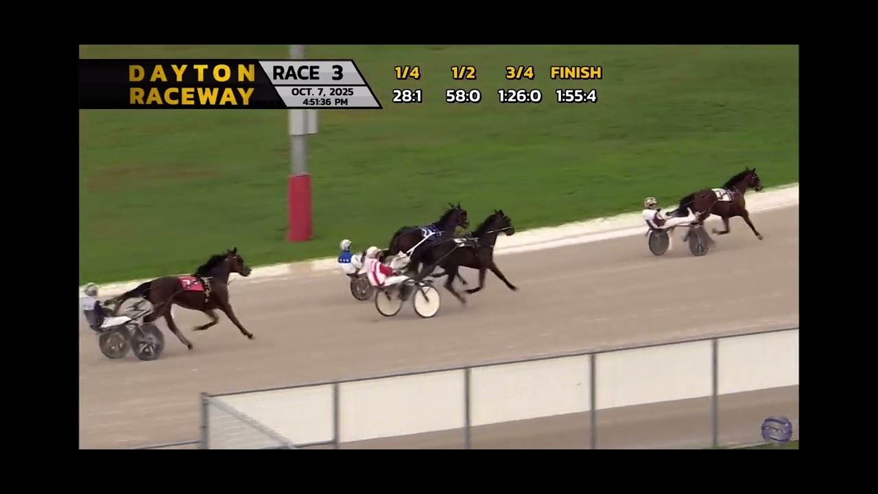 Swoop wins at Hollywood Dayton Raceway 1:55.4 on 10/6/25 - YouTube