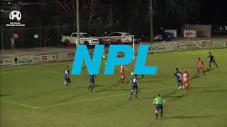 NPL Round 21 - Olympic FC vs Brisbane Roar FC Youth Highlights