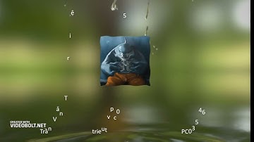 Assignment 2: hướng dẫn nộp bài trên lms.poly.edu.