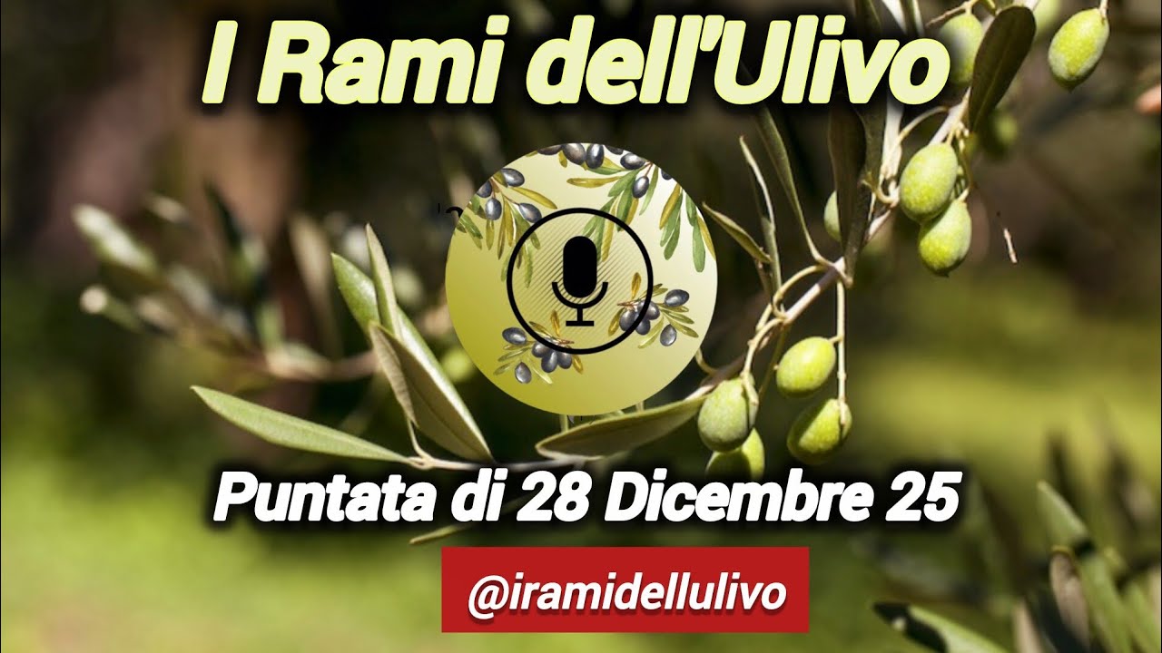 La Radio : I Rami dell'Ulivo - NON TEMERE LA PROVA
