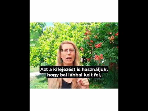 Useful Hungarian phrases with 'bal' | #learninghungarian #hungarianphrases #hungarianpodcast
