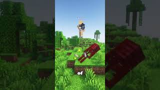 Bored of playing alone? #kaimuxnetwork #survival #diamonds #getrichquick #survival