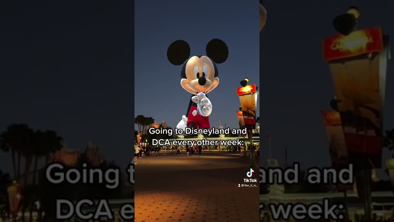 My wallet will never recover… at this rate 