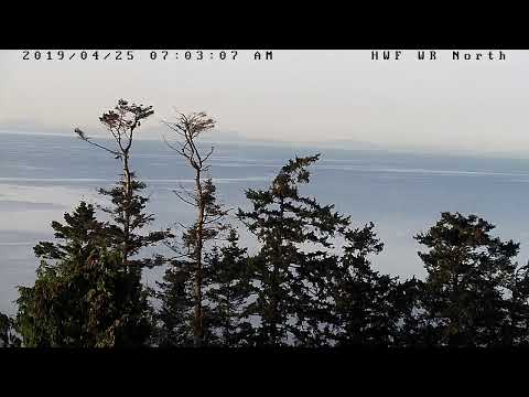 bald eagles in wisconsin Hancock Wildlife Foundation Live Stream