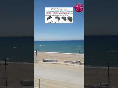 يا قومنا مالي أرى أجيالنا يتقلدون حضارة اليونان 1577