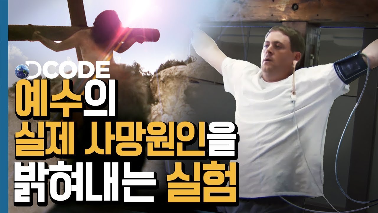 Dcode Digital Detective